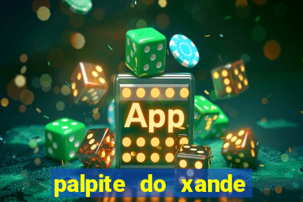 palpite do xande de hoje